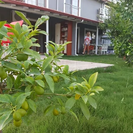 Villa Rent A Muğla